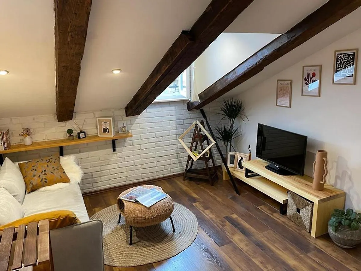 Apartment Condo In Town Centre Rijeka