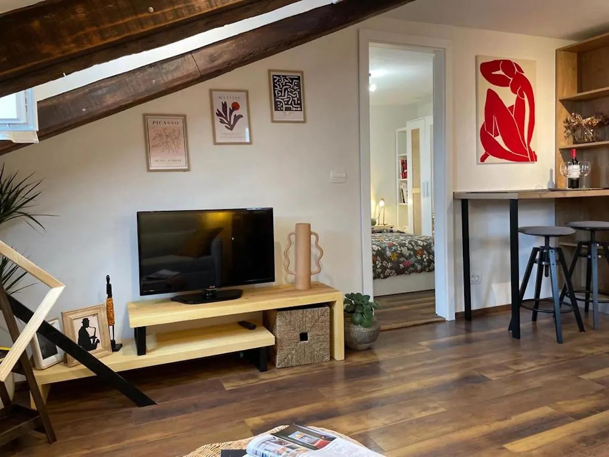 Condo In Town Centre Rijeka