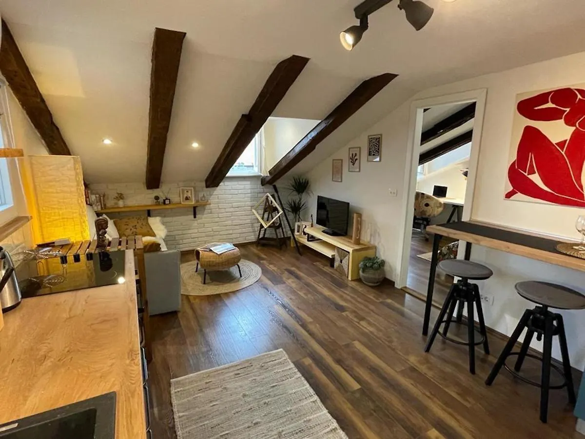 Apartment Condo In Town Centre Rijeka