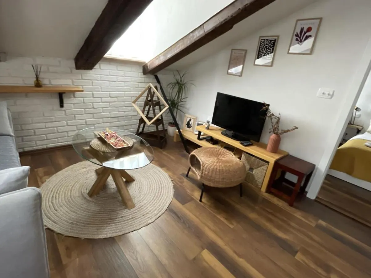 Condo In Town Centre Rijeka